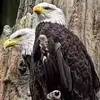 Will Colon - @will.colon8 - TikTok