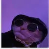 Williams Corpus - @williams.corpus - TikTok