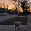 Will Davis - @willdavis052 - TikTok