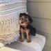 William Jackson - Facebook