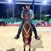 Wilor Trujillo N🐴 - @wilortn - TikTok