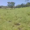 Wil Ramos - @el.campesino.feliz - TikTok