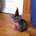 Wil Rios - Facebook