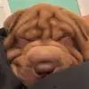 Wil Young - @wil.young - TikTok