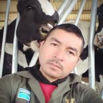Wilber camacho - @wilbercamacho74 - Instagram