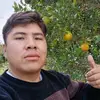 Wilber - @wilbercamacho099 - TikTok
