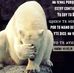 Carlos Wilber Tica Leon - Facebook