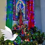 Wilber Sánchez - @wilbersanchez69 - Instagram