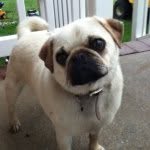 Wilbert Allen - @fishingman11 - Instagram