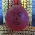Wilbert Balloon - @wilbert_balloon - Instagram