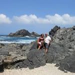 Wilbert van Ballegooij - @wilbertvanballegooij - Instagram