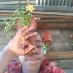 Wilbert Jean Baptiste - @wilbert.jeanbaptiste.165 - Instagram