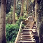 Wilbert Barnett - @wilbertbarnett99 - Instagram