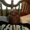 Wilbert Berry - @wilbertberry0 - TikTok