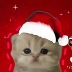 Wilbert Camacho - @wilb.ertcamacho39 - Instagram