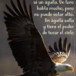 Wilbert Camacho Jimenez - @wilbertcamachojimenez - Instagram