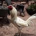 Wilbert Sanchez Camargo - Facebook
