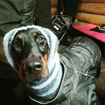Wilbert Chambers - @wibiz9k - Instagram