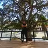 Wilbertclemente77 - @wilbertclemente77 - TikTok