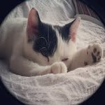 Wilbert Cole - @yourannics - Instagram