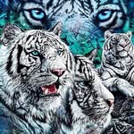 Wilbert Cordero Fernández - @wilbertcorderofernandez - Instagram