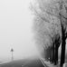 Wilbert Cormier - Facebook