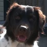 Wilbert Denissen - @wilbertdenissen - Instagram