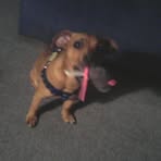 Wilbert Drake Jr. - Facebook