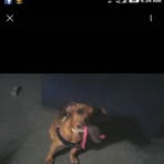 Wilbert Drake Jr. - Facebook