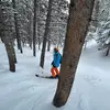 Will Dwyer - @willdwyer - TikTok