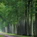 Wilbert Edwards - Facebook