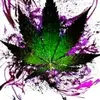 Wilbert Estrada497 - @wilbertestrada497 - TikTok