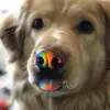 Wilbert Ford - @wilbert.ford - TikTok