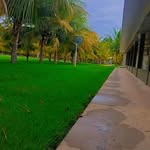 Maicon Koit - @wilbert.121.green - Instagram