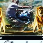 Wilbertgreen1949@mail.com - @wilbertgreen1949ma - Instagram