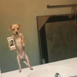 Wilbert Guzman - @wilbert.guzman.904 - Instagram