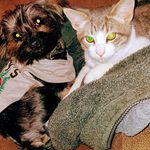 Wilbert Hall - @wilberthall45 - Instagram