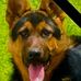 Wilbert Hall - Facebook