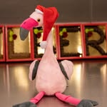 wilbert holtkampie - @wilbert_holtkampie - Instagram