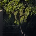 Wilberth Letran - @wilberthosw - Instagram