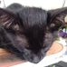 Wilbert Kempis - Facebook