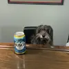 will bertke - @bertke.vip - TikTok