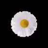 WE - @wilbertroberts - TikTok