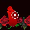 Wilbert Roberts - @wilbert.roberts - TikTok