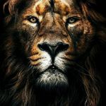 wilbert stewart - @stewart_wilbert - Instagram