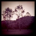 Wilbert Thomas - @friendlyfuel33 - Instagram
