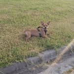 Wilbert Thomas - @wilbertthomas.62 - Instagram