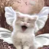 wilbertthompson0 - @catgirl_036 - TikTok