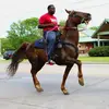 Wilbert Williams108 - @wilbill33 - TikTok