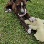 Wilbur Baker - @wilburbaker426 - Instagram